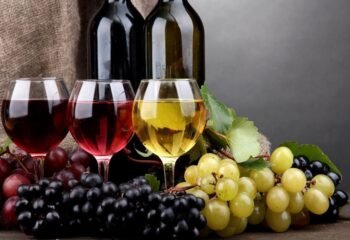 vino vino