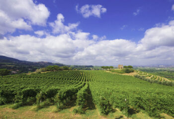 painting-frascati painting-frascati